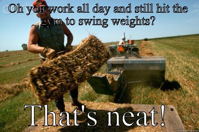 Farm boys! - OH YOU WORK ALL DAY AND STILL HIT THE GYM TO SWING WEIGHTS? THAT'S NEAT! Misc