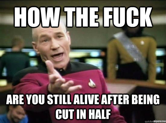 how the fuck are you still alive after being cut in half  Annoyed Picard HD