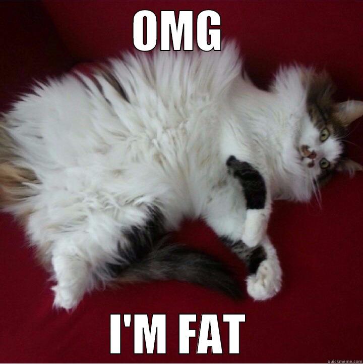 OMG I'M FAT Misc