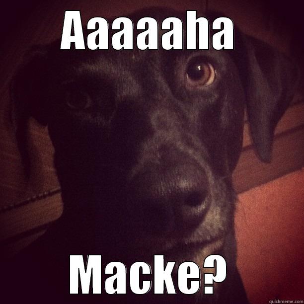 AAAAAHA MACKE? Misc