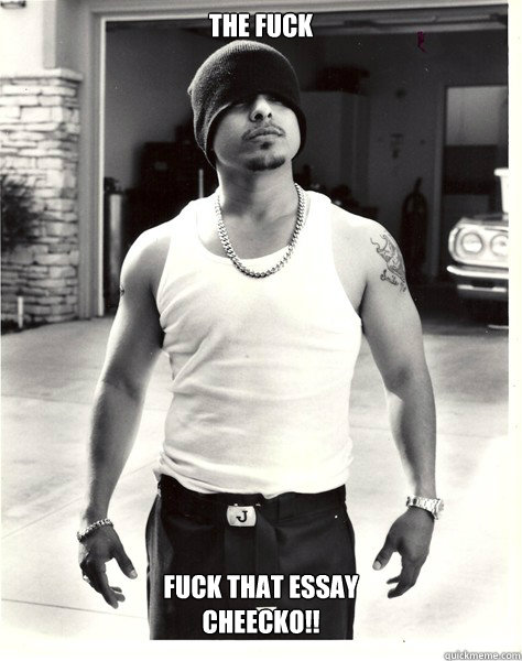 the fuck fuck that essay
cheecko!!  
