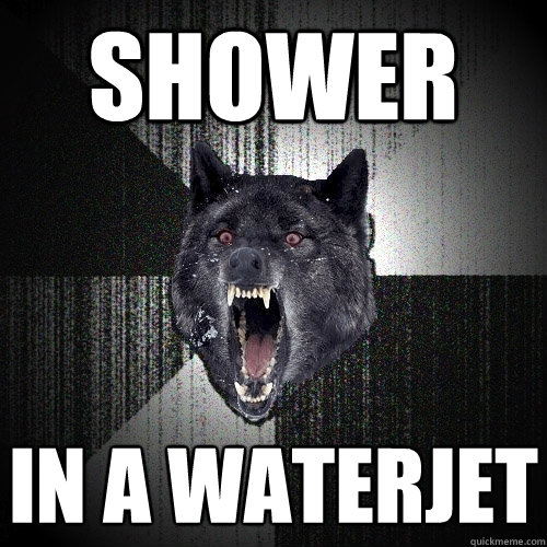 Shower In a waterjet  Insanity Wolf