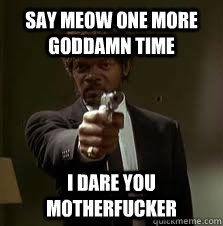 say meow one more goddamn time I dare you motherfucker  Pulp Fiction meme