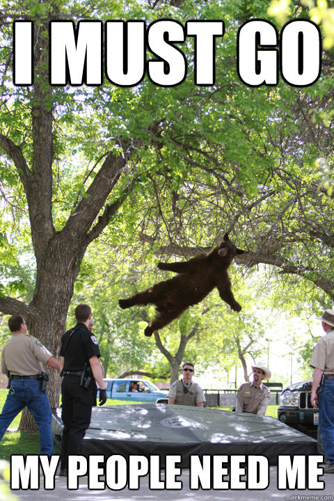 I MUST GO MY PEOPLE NEED ME - I MUST GO MY PEOPLE NEED ME  Boulder Bear