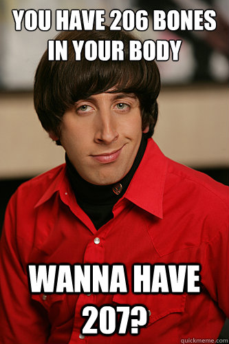 you have 206 bones in your body wanna have 207? - you have 206 bones in your body wanna have 207?  Howard Wolowitz