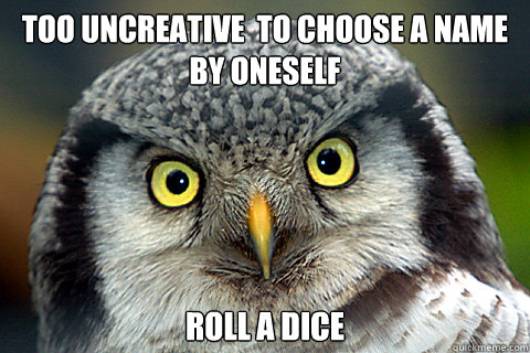 Too uncreative  to choose a name by oneself  Roll a dice  