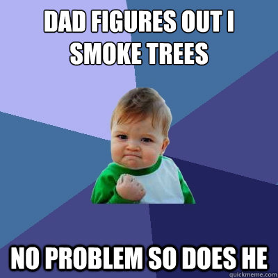 dad figures out I smoke trees no problem so does he - dad figures out I smoke trees no problem so does he  Success Kid