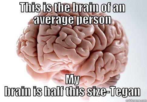 THIS IS THE BRAIN OF AN AVERAGE PERSON MY BRAIN IS HALF THIS SIZE-TEGAN Scumbag Brain