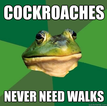 Cockroaches never need walks  Foul Bachelor Frog