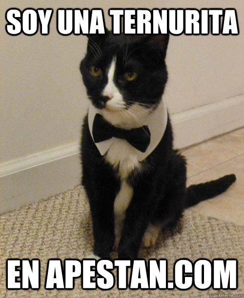 soy una ternurita en apestan.com - soy una ternurita en apestan.com  007 Cat