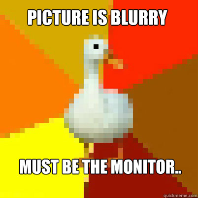 PICTURE IS BLURRY MUST BE THE MONITOR..  Technologically Impaired Duck