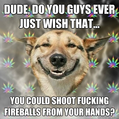 Dude, do you guys ever just wish that... you could shoot fucking fireballs from your hands?  Stoner Dog