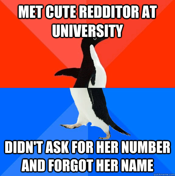 met cute redditor at university didn't ask for her number and forgot her name  Socially Awesome Awkward Penguin