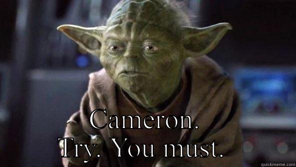  CAMERON. TRY. YOU MUST.  True dat, Yoda.