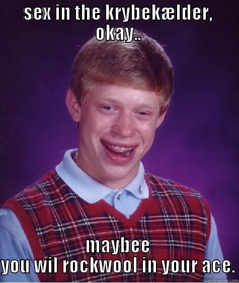 SEX IN THE KRYBEKÆLDER, OKAY.. MAYBEE YOU WIL ROCKWOOL IN YOUR ACE. Bad Luck Brian