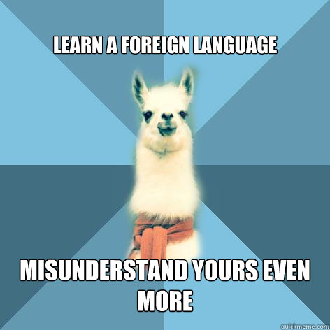 Learn a foreign language Misunderstand yours even more  Linguist