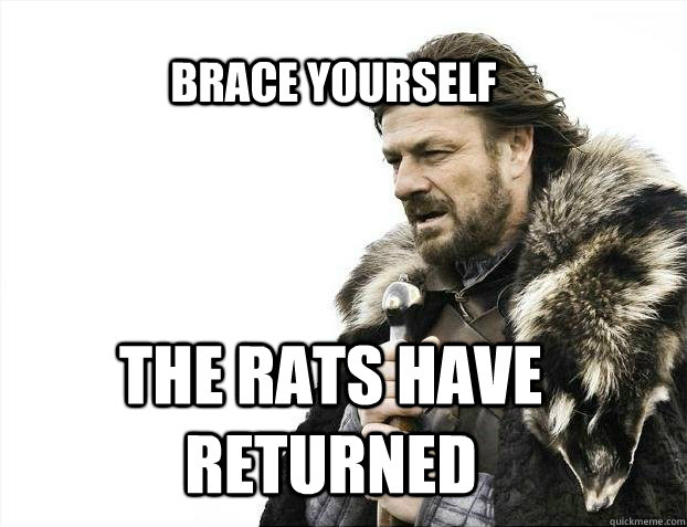 brace yourself the Rats have returned  BRACE YOURSELF SOLO QUEUE