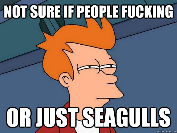 Not sure if people fucking or just seagulls - Not sure if people fucking or just seagulls  Futurama Fry