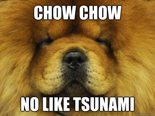 CHOW CHOW NO LIKE TSUNAMI - CHOW CHOW NO LIKE TSUNAMI  CHOWCHOW