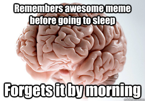 Remembers awesome meme before going to sleep Forgets it by morning  Scumbag Brain