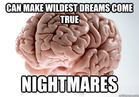 CAN MAKE WILDEST DREAMS COME TRUE NIGHTMARES  Scumbag Brain