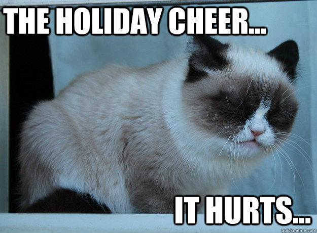 The Holiday Cheer... it hurts... - The Holiday Cheer... it hurts...  Misc