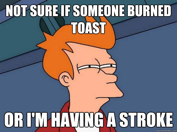 not sure if someone burned toast or I'm having a stroke  Futurama Fry