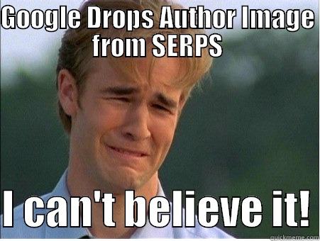 WTF Google  - GOOGLE DROPS AUTHOR IMAGE FROM SERPS  I CAN'T BELIEVE IT! 1990s Problems