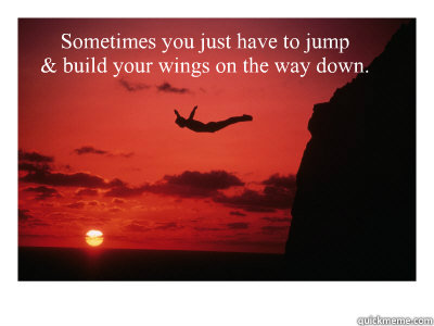 Sometimes you just have to jump
& build your wings on the way down.  Leap of Faith