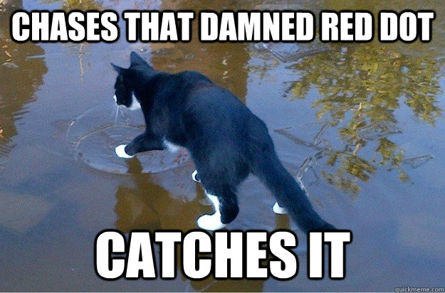 Chases that damned red dot Catches it  Jesus Cat