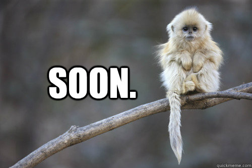 Soon.   Soon monkey