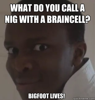 What do you call a nig with a braincell? bigfoot lives!  KSIolajidebt