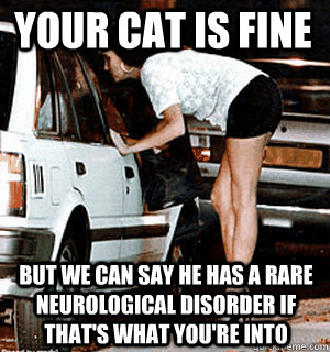 Your cat is fine But we can say he has a rare neurological disorder if that's what you're into  Karma Whore