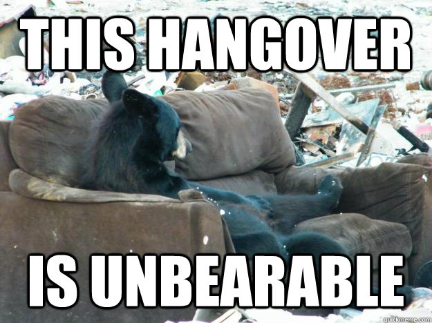 this hangover Is unbearable - this hangover Is unbearable  Party Bear