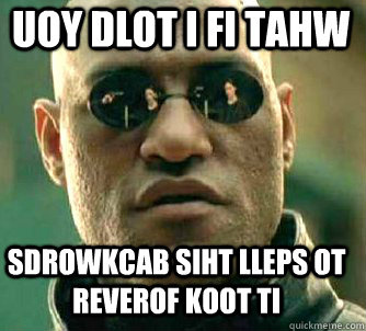 uoy dlot i fi tahw sdrowkcab siht lleps ot reverof koot ti  Matrix Morpheus