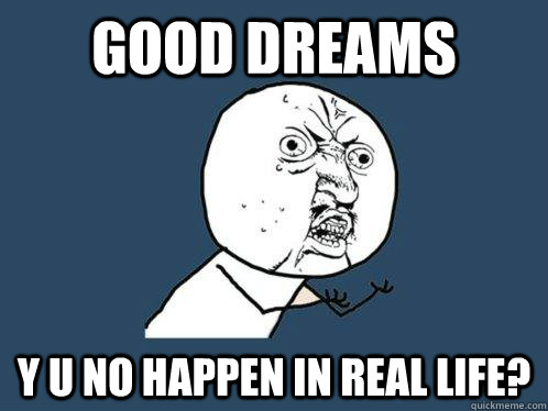 Good dreams Y U NO happen in real life?  Y U No