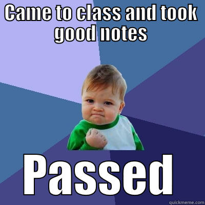 CAME TO CLASS AND TOOK GOOD NOTES PASSED Success Kid