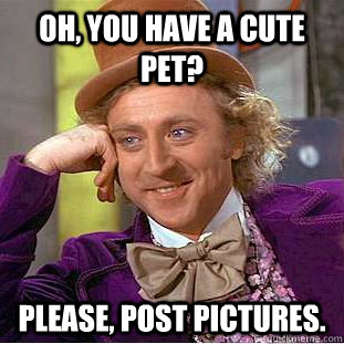 Oh, You have a cute pet? Please, post pictures.  Creepy Wonka