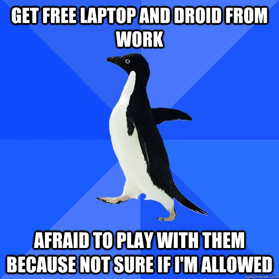 Get free laptop and droid from work afraid to play with them because not sure if I'm allowed  Socially Awkward Penguin