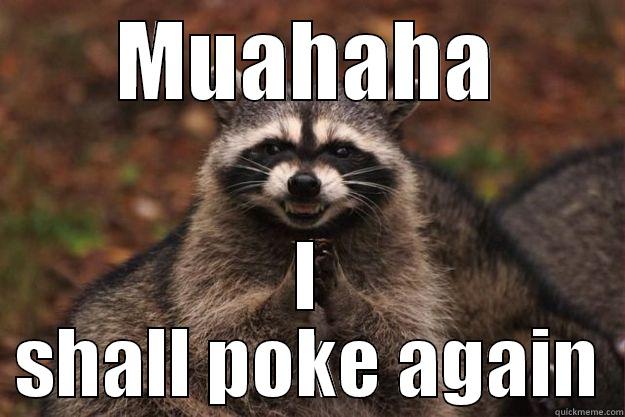 MUAHAHA I SHALL POKE AGAIN Evil Plotting Raccoon