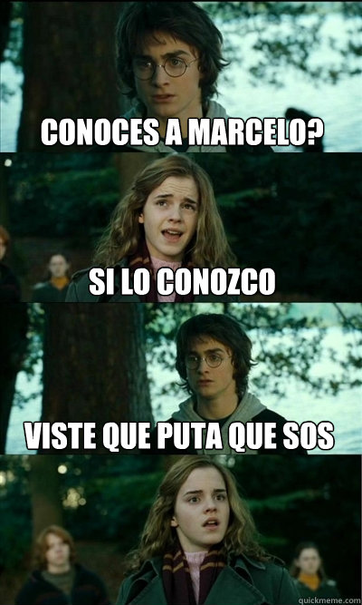 conoces a marcelo? Si lo conozco viste que puta que sos   Harry angry