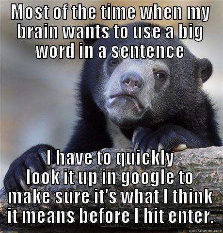 MOST OF THE TIME WHEN MY BRAIN WANTS TO USE A BIG WORD IN A SENTENCE I HAVE TO QUICKLY LOOK IT UP IN GOOGLE TO MAKE SURE IT'S WHAT I THINK IT MEANS BEFORE I HIT ENTER. Confession Bear