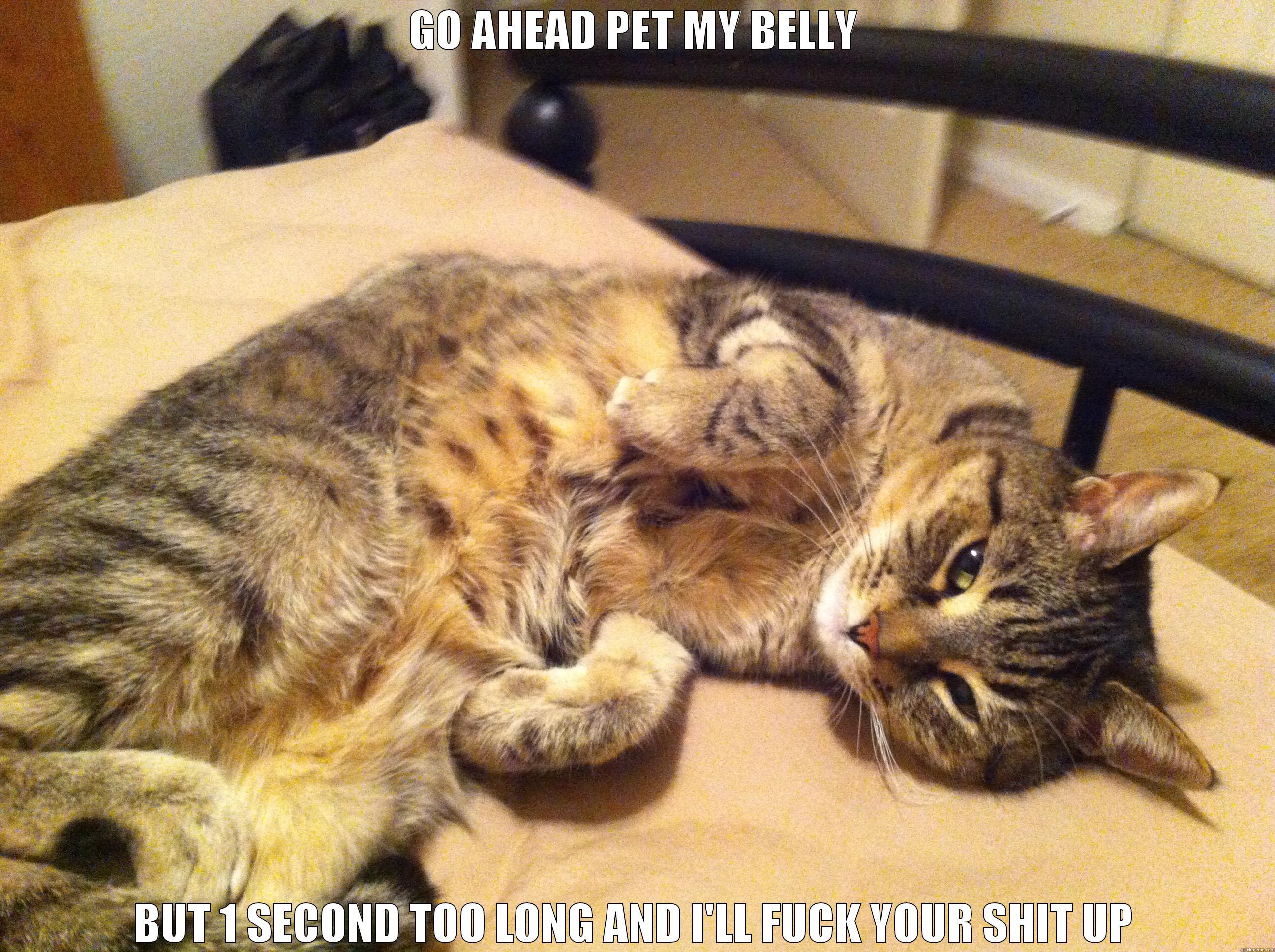 Cat with an Agenda - GO AHEAD PET MY BELLY BUT 1 SECOND TOO LONG AND I'LL FUCK YOUR SHIT UP Misc