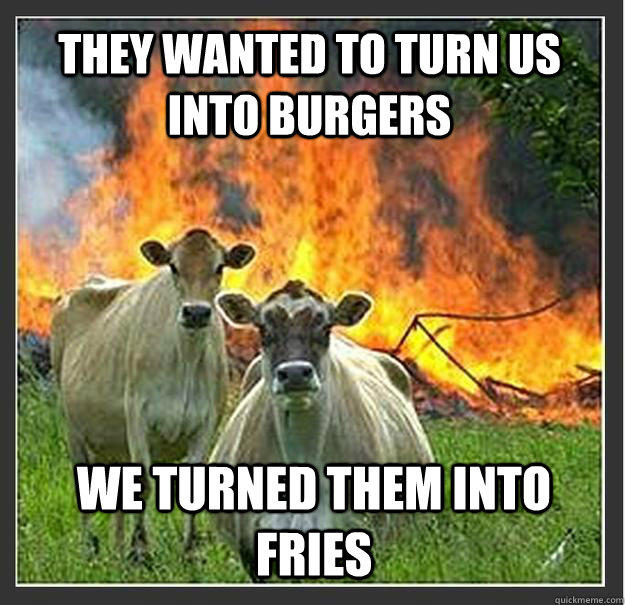 They wanted to turn us into burgers we turned them into fries  Evil cows