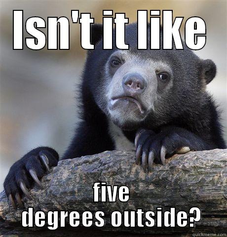 ISN'T IT LIKE FIVE DEGREES OUTSIDE? Confession Bear
