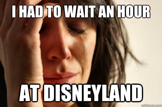 I Had to Wait an Hour At Disneyland  First World Problems