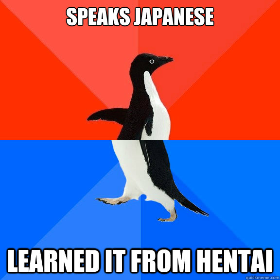 Speaks Japanese Learned it from hentai  Socially Awesome Awkward Penguin