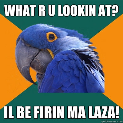 what r u lookin at? il be firin ma laza!  Paranoid Parrot