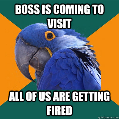 Boss is coming to visit All of us are getting fired  Paranoid Parrot