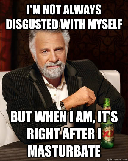 I'm not always disgusted with myself But when i am, it's right after i masturbate  TheMostInterestingManInTheWorld